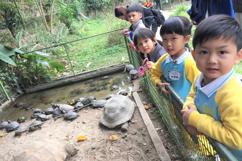 網頁首頁幻燈片 (15)