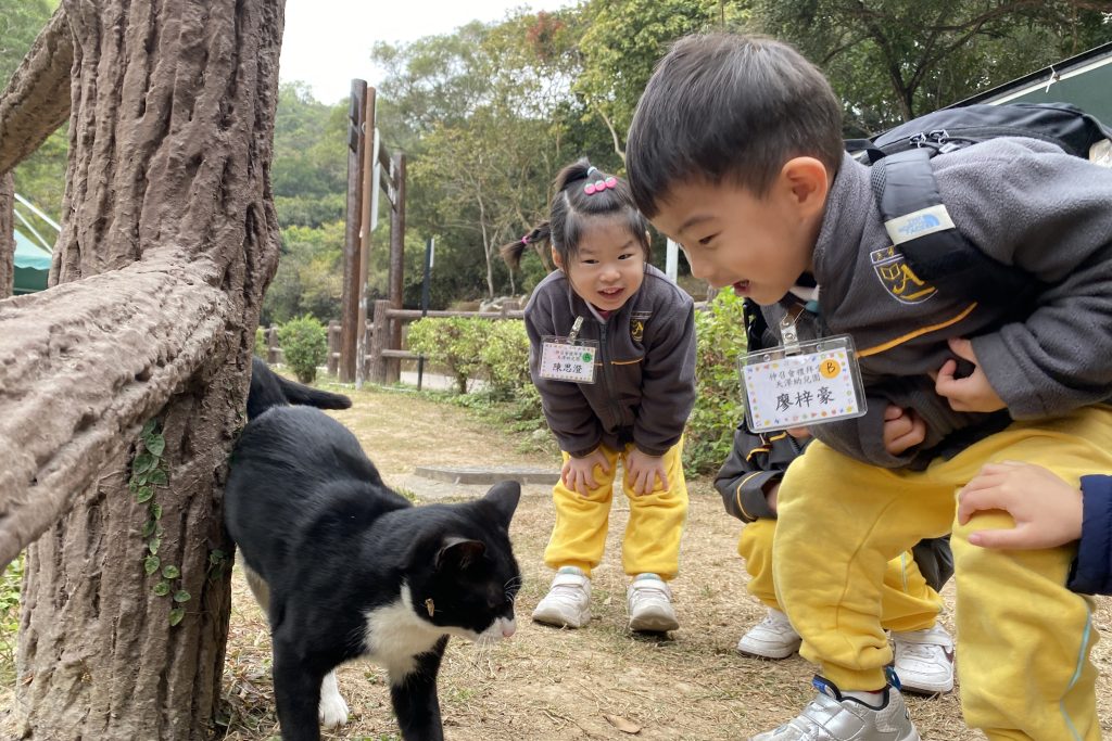 網頁首頁幻燈片 (8)